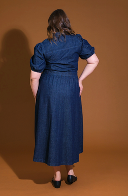 Curvy Indigo Dress