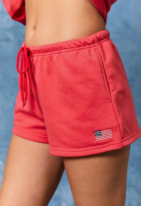 USA Flag Shorts