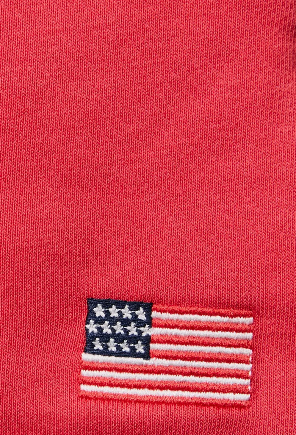 USA Flag Shorts