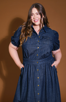 Curvy Indigo Dress