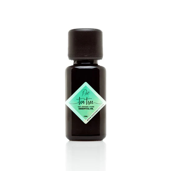 Root Essential Oil Tea Tree